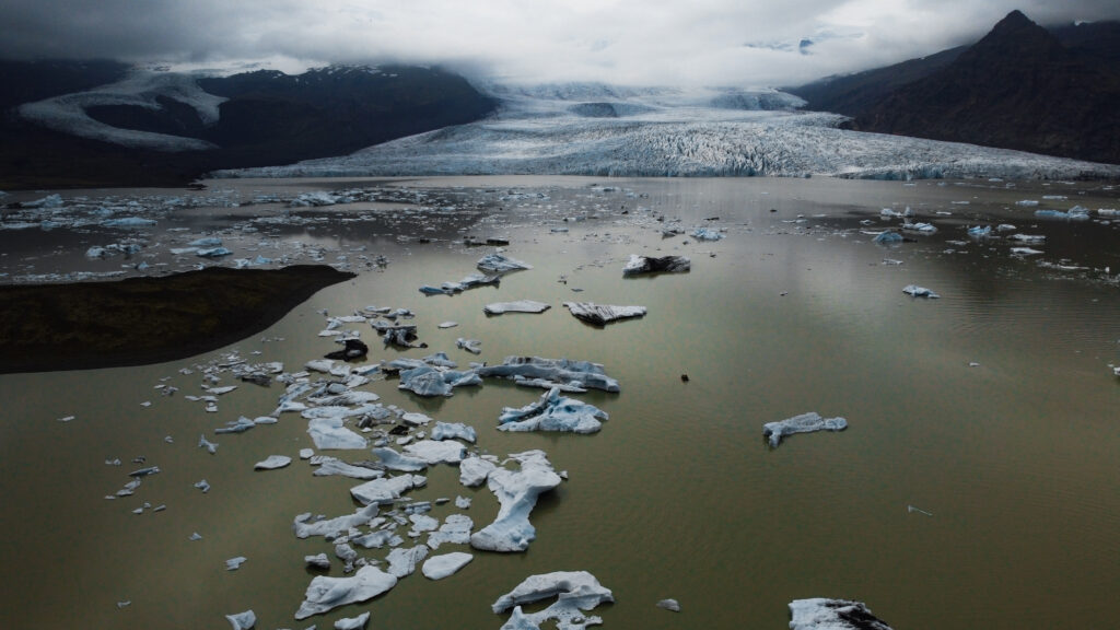 Fjallsárlón – laguna lodowcowa u podnóża Vatnajökull, południowo-wschodnia Islandia