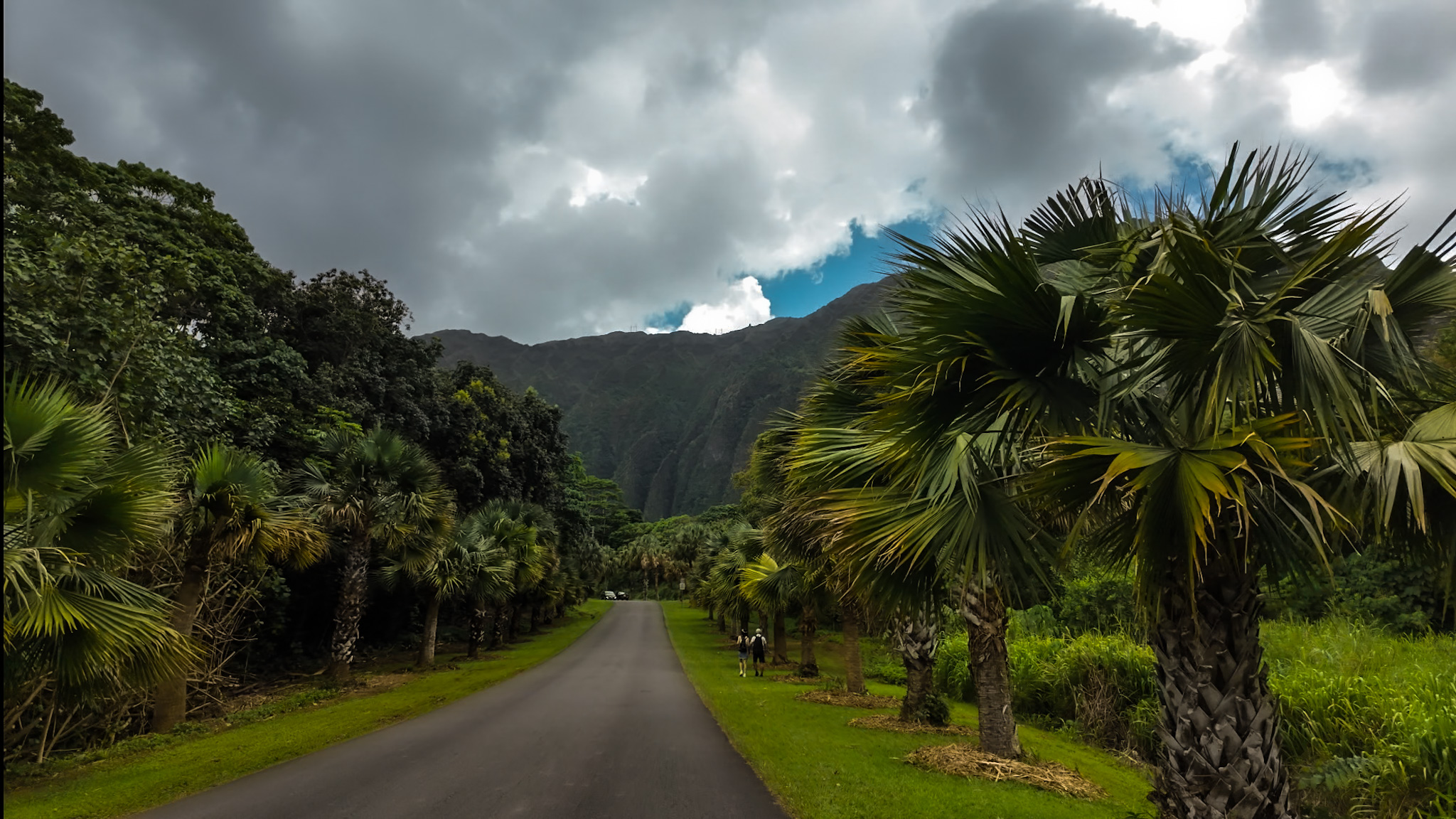 Ogród botaniczny Ho’omaluhia, Hawaje - Oahu w 7 dni