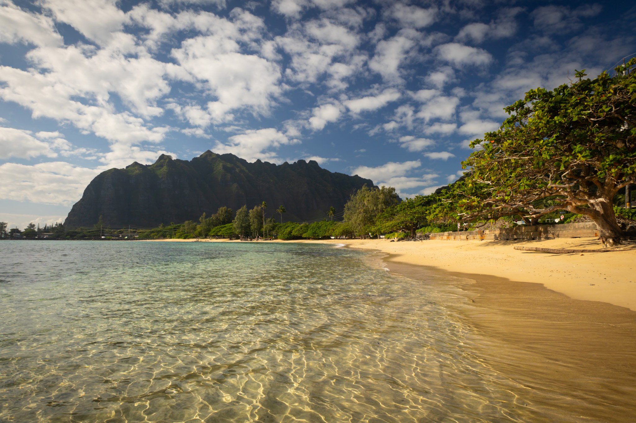 hawajska plaża Kualoa Regional Park, Hawaje - Oahu w 7 dni