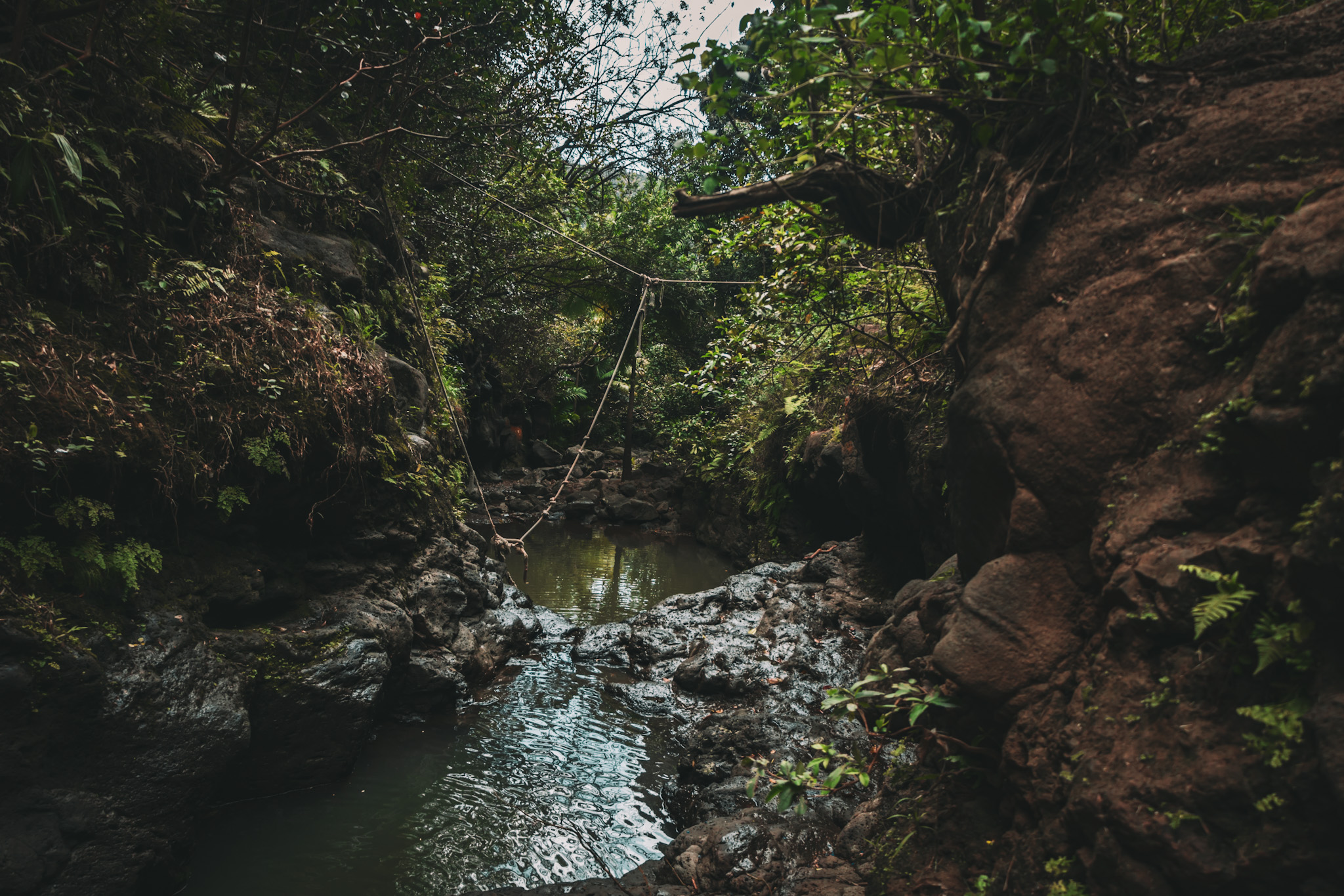 Waimano hike, Hawaje - Oahu w 7 dni