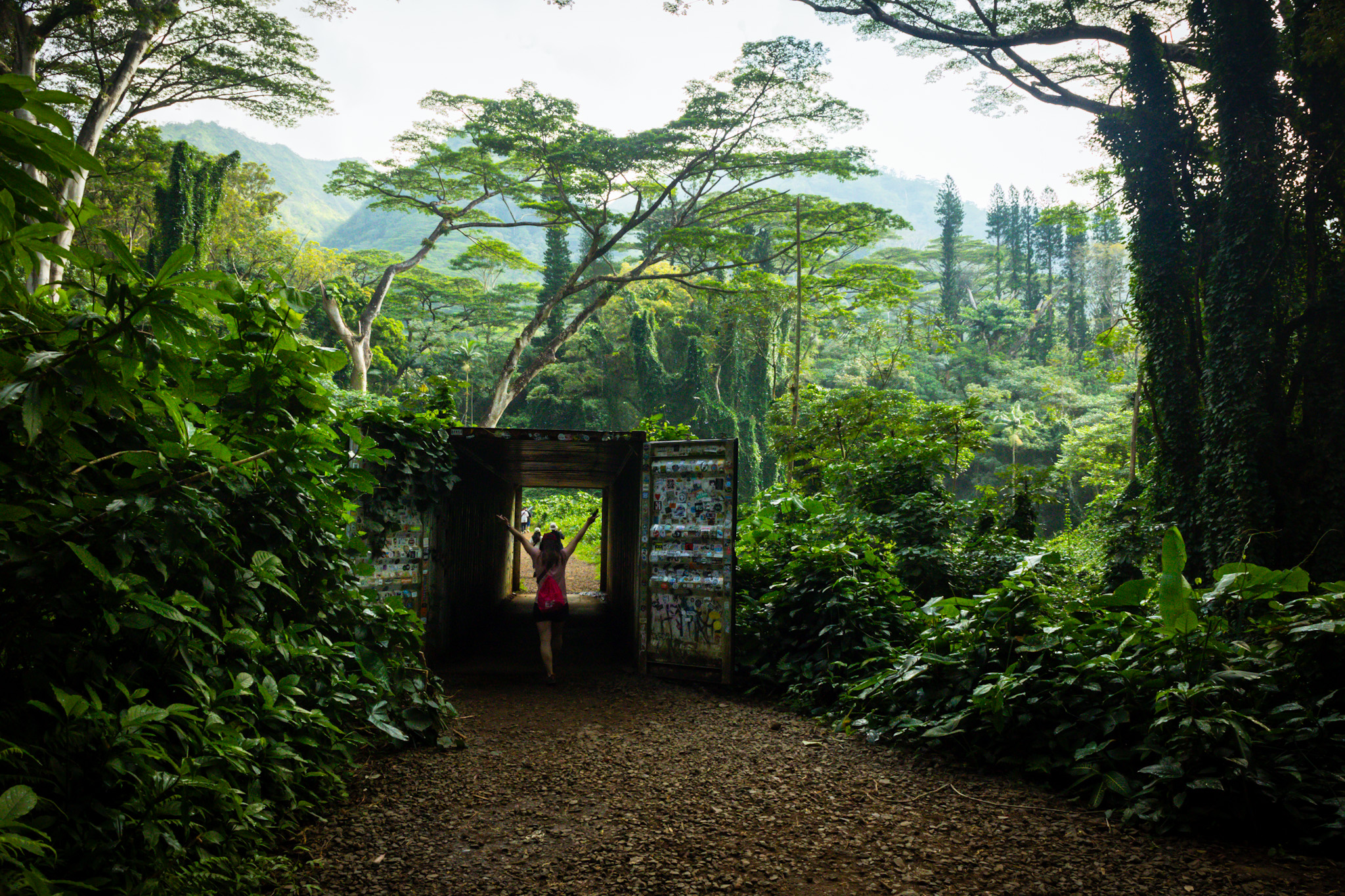 Wodospad Manoa, las, Hawaje, natura- Oahu w 7 dni